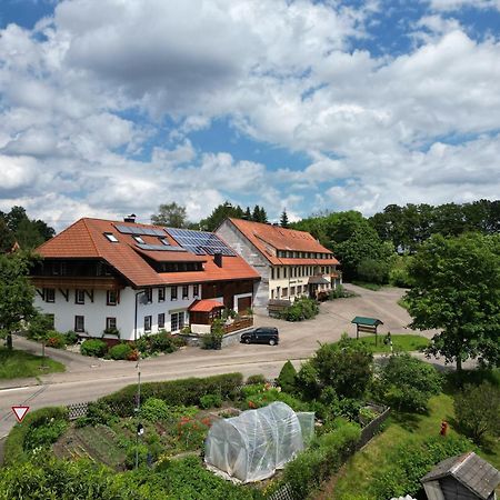 Appartement Haus Schlageter à Dachsberg im Schwarzwald Extérieur photo