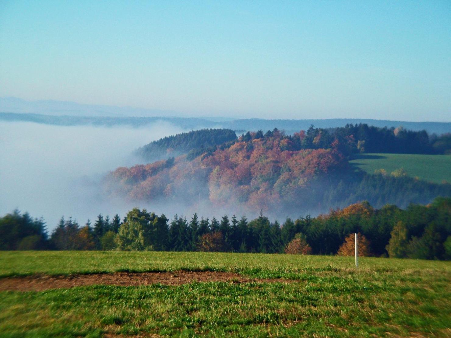 Appartement Haus Schlageter à Dachsberg im Schwarzwald Extérieur photo