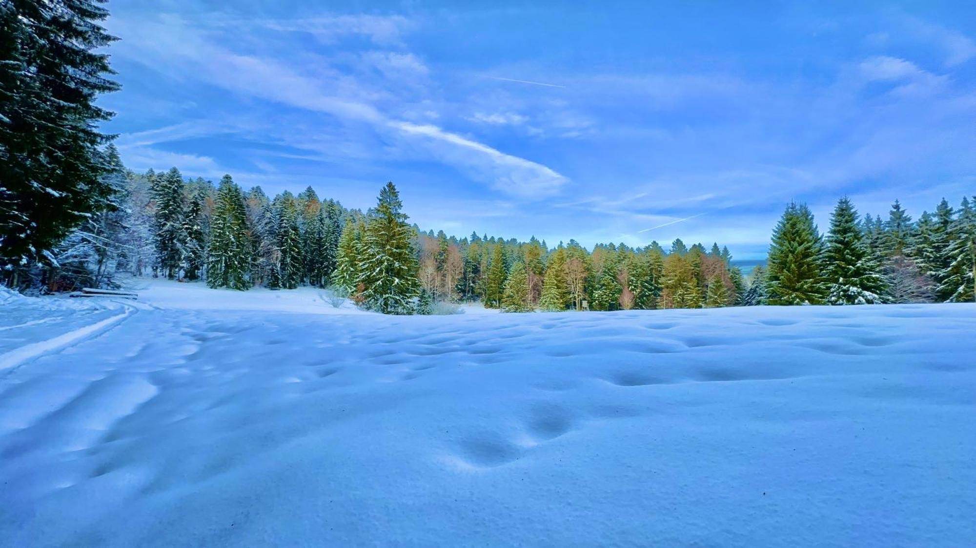 Appartement Haus Schlageter à Dachsberg im Schwarzwald Extérieur photo