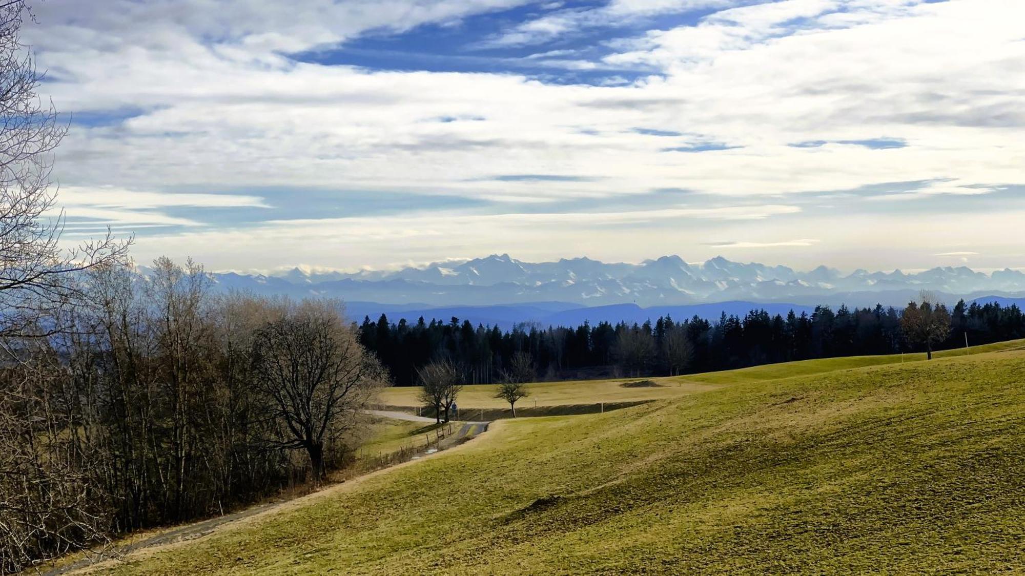 Appartement Haus Schlageter à Dachsberg im Schwarzwald Extérieur photo