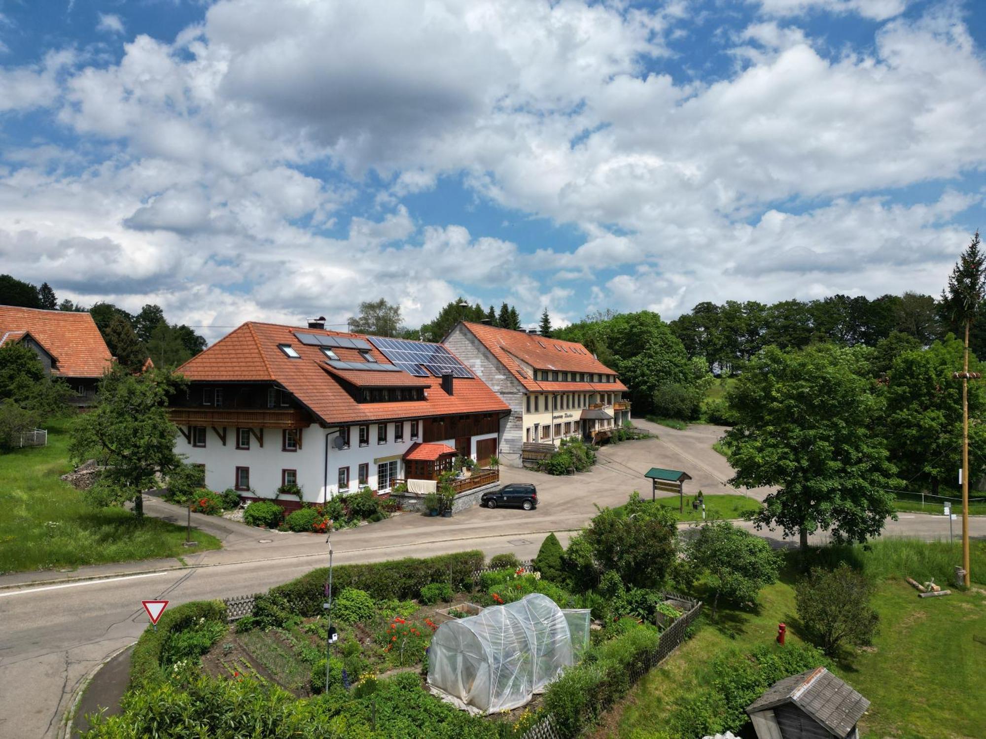 Appartement Haus Schlageter à Dachsberg im Schwarzwald Extérieur photo