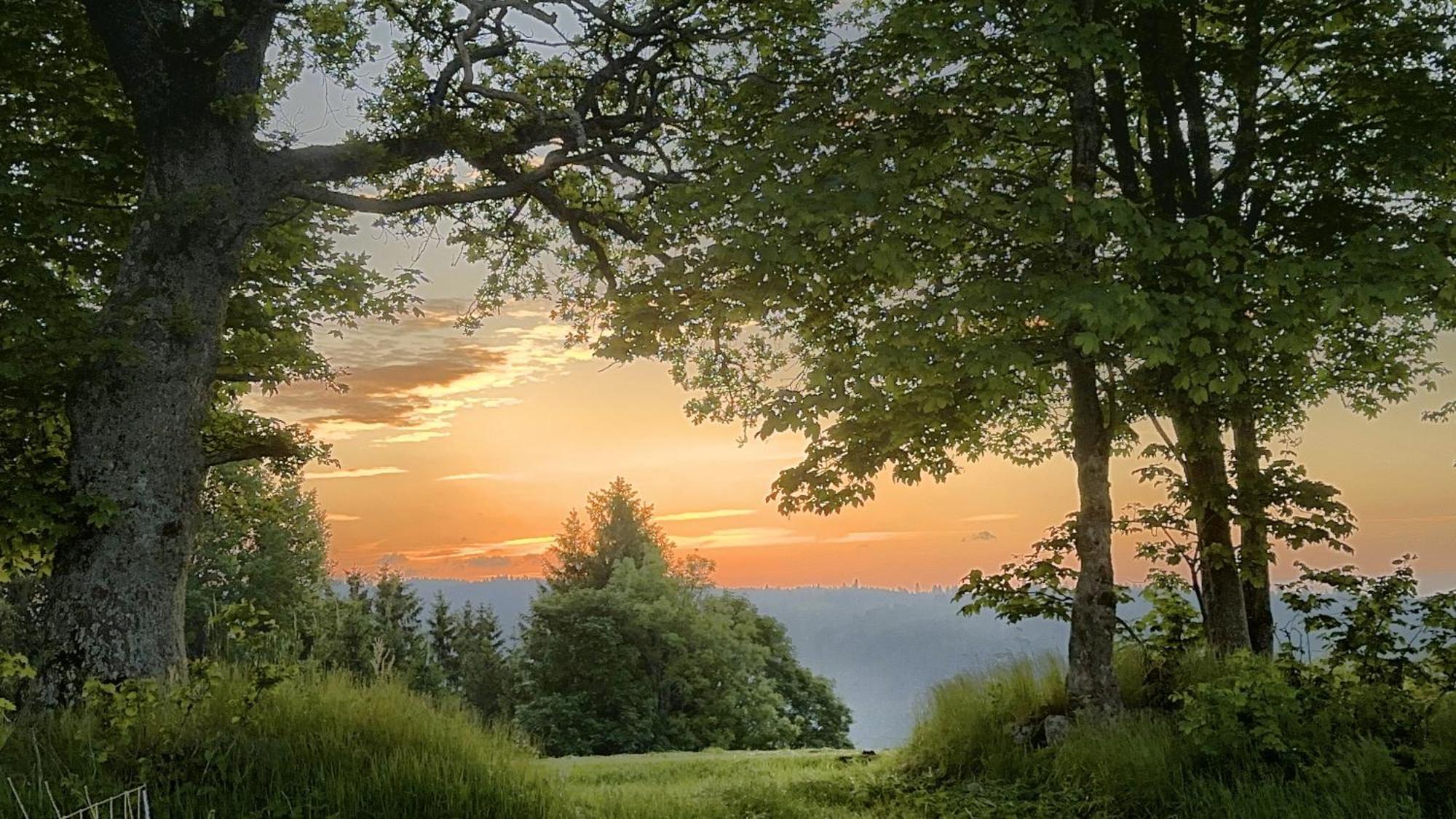Appartement Haus Schlageter à Dachsberg im Schwarzwald Extérieur photo