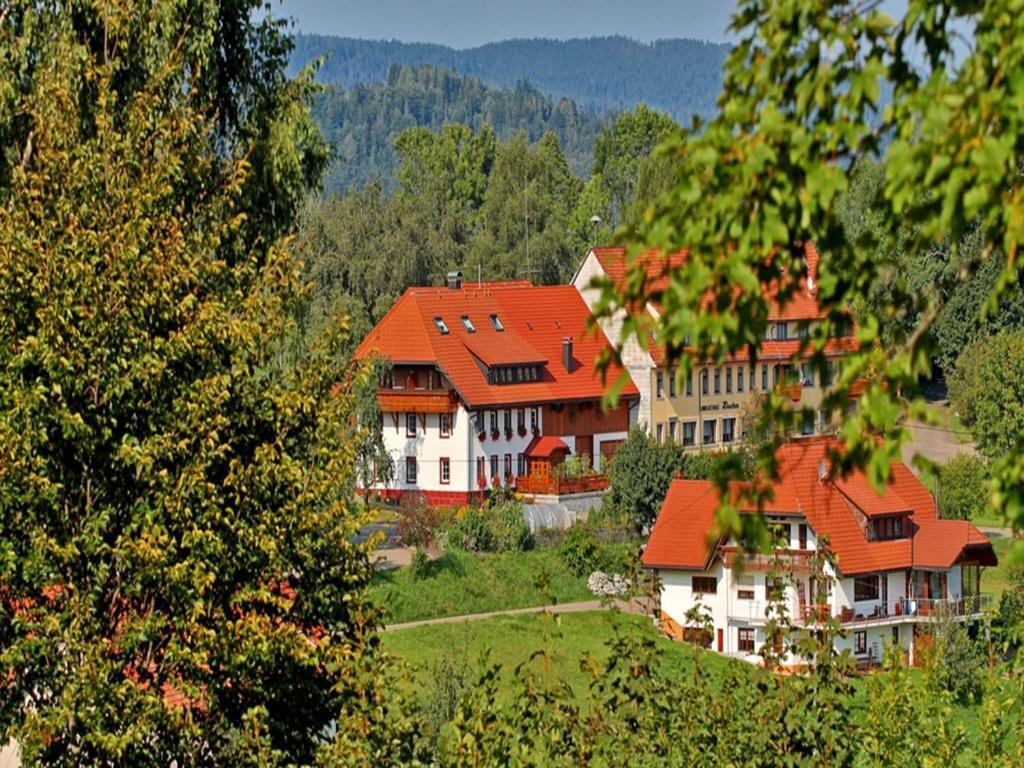Appartement Haus Schlageter à Dachsberg im Schwarzwald Extérieur photo